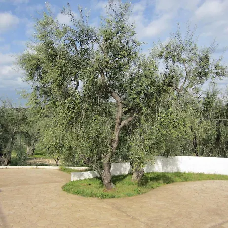 Vacanze Elisa Ferienhaus